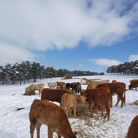 El Rincon Del Molino *
