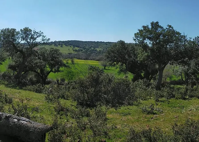 아파트 El Rincon Del Molino