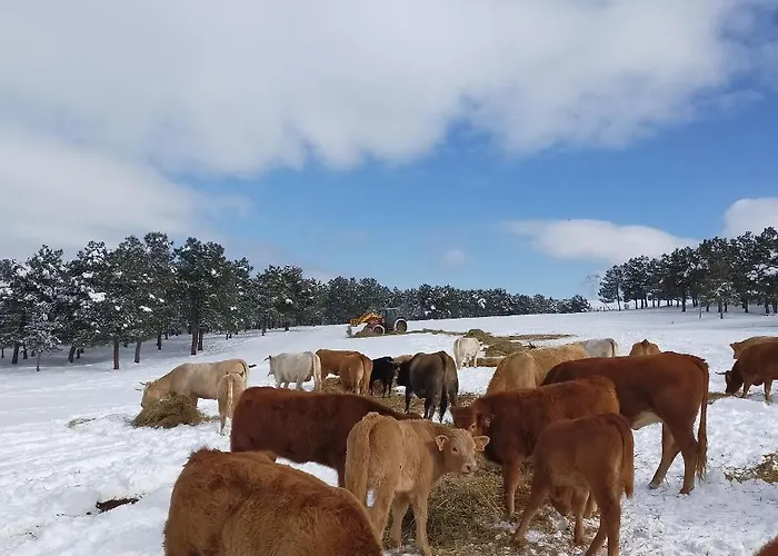 El Rincon Del Molino *